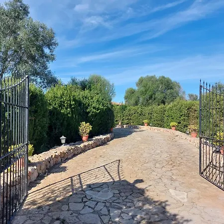 Estrella Cala Mandia (Mallorca)